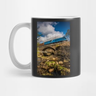 A4 Class Bittern Mug